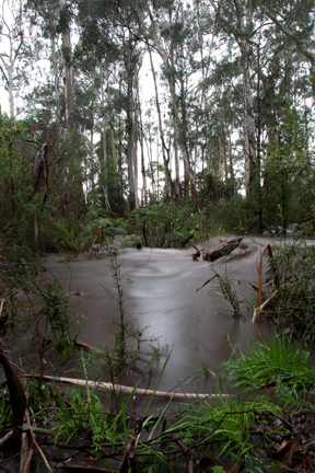 Cathedral Ranges, Floods